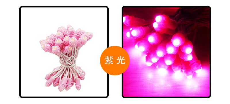 紫色led外露灯